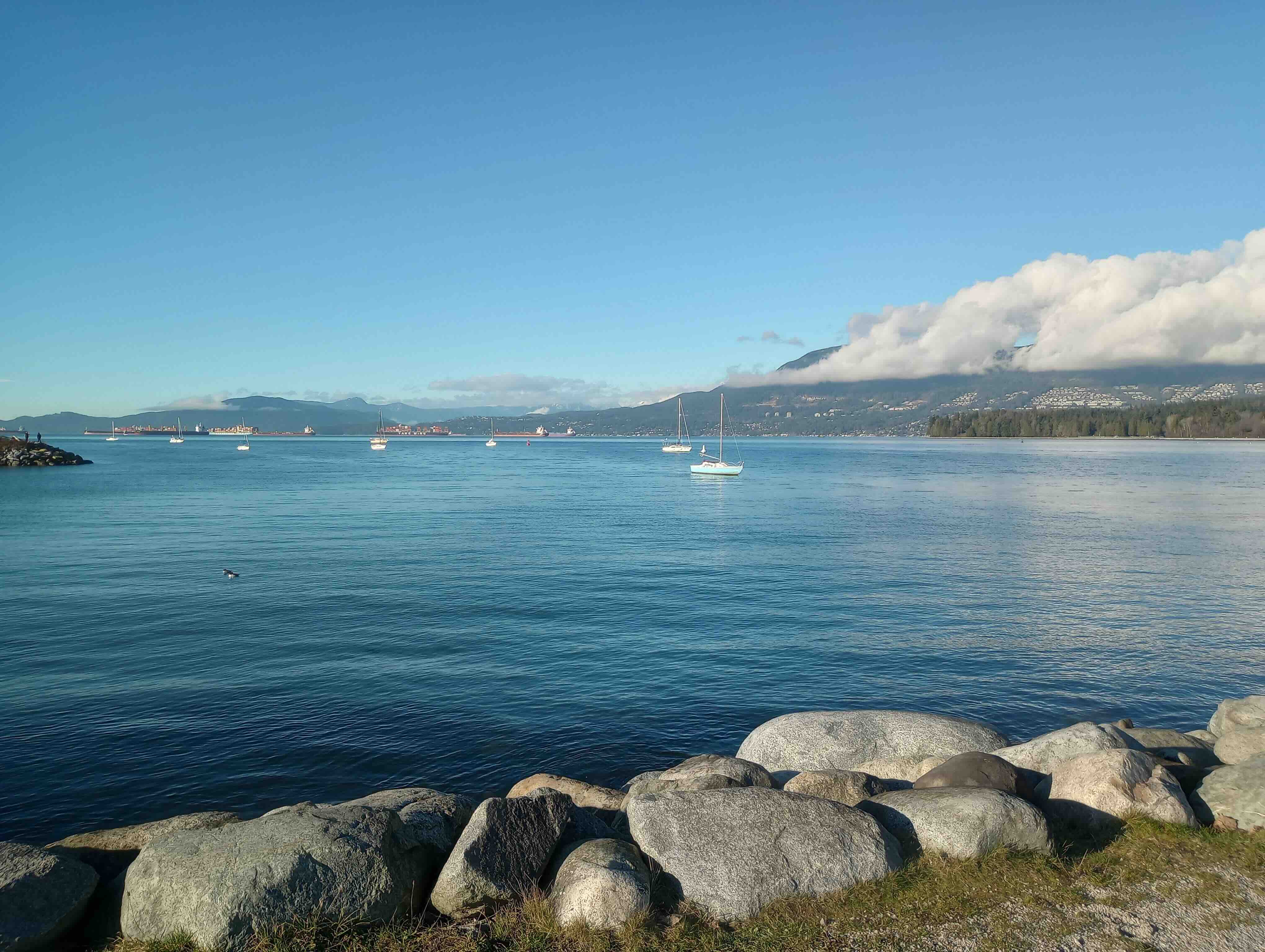 A view of English Bay looking delightfully blue on a bright day with a sunny blue sky, unusual for Vancouver in December. There are some sailboats on the water, and two snoozing birds, which might be goldeneyes. This picture was taken at Vanier Park, after a trip to the Museum of Vancouver.
